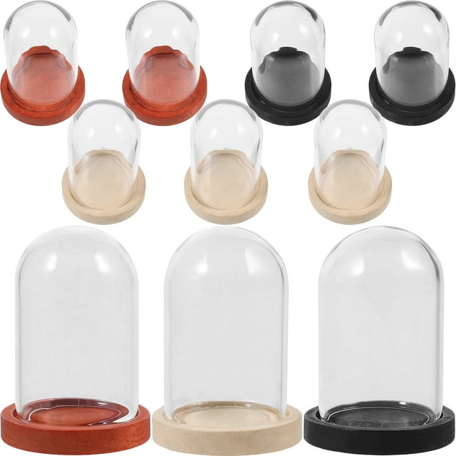 Shisuyan 10 Sets Mini Glass Dome With Tray Clear Glass Display Case Preserved Flower Plant Display Cloche