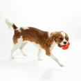 thumbnail image 3 of Playology Dog Toys | Squeaky Bounce Ball, Beef Scented Chew Toy - Jumbo, 3 of 6