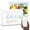 P10, variant on Tabwee 10.1 Inch WiFi Digital Calendar, Smart Touchscreen Interactive Display for Family Schedules Chore Chart, Meal Planner, To Do List, Smart Sync Switchable Digital Photo Frame w/Desk Stand