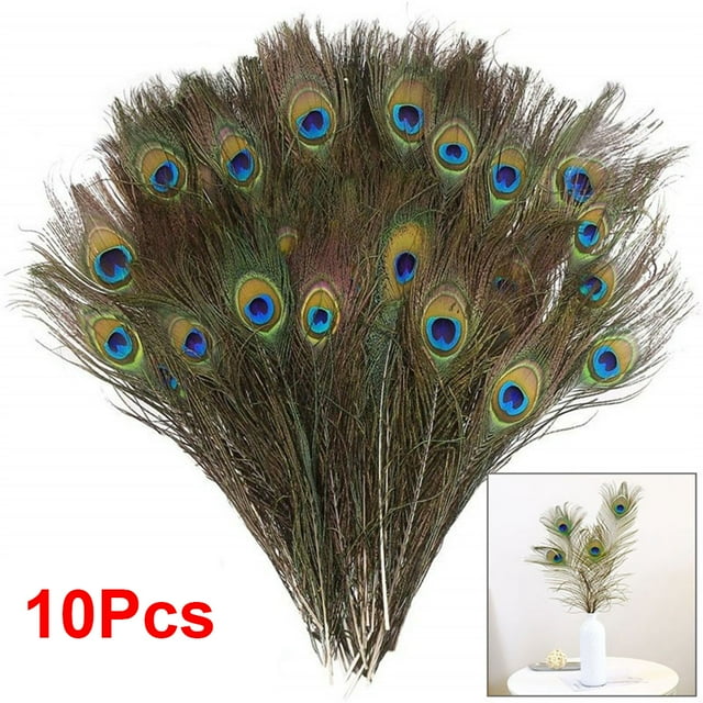 10 Uds. Pluma de pavo real Natural para casa, manualidades, decoraciones de boda, vacaciones