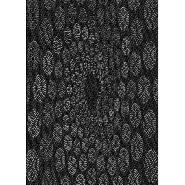 Ahgly Company Tapis d'Intérieur Lavables en Machine, Rectangle Transitionnel, Zone Noire, 2' x 4'