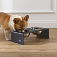 thumbnail image 6 of THE LICKER STORE Keaton 5" Small/Medium Modern Acrylic Rectangular Elevated Pet Feeder with 20oz 2-Stainless Steel Bowls, Dark Gray/Chrome, DBL2000J, 6 of 7