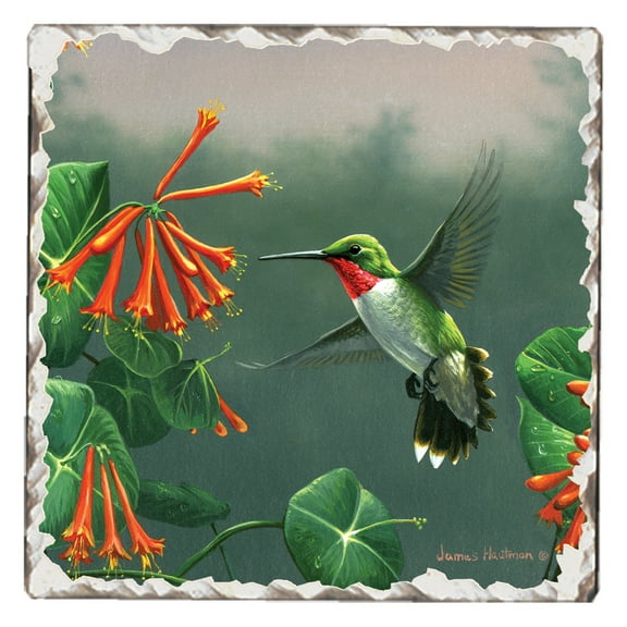 Absorbent Stone Tumbled Tile Coasters, Hummingbird #2, Set of 4