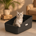 thumbnail image 5 of Black Medium High Sided Semi Open Cat Litter Box for Cats Under 13 Lbs, 5 of 5