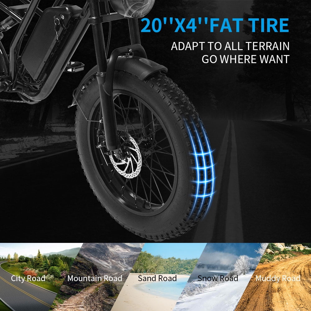 750W Electric Bike for Adults 20X4.0 Fat Tire Off-Road E bike Mountain Bike for Outdoor Cycling