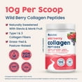 thumbnail image 3 of NativePath Collagen Peptides - Hydrolyzed Type 1 & 3 Collagen. Keto & Paleo Grass-Fed Protein Powder for Hair, Skin, Nails, Bones, Joints, Digestion and More - No Gluten or Dairy (Wild Berry, 230g), 3 of 7