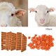 thumbnail image 5 of Etiqueta de oreja de plástico para ganado, número 1-100, etiqueta de animal para cabra, oveja, cerdo (naranja), 5 of 5