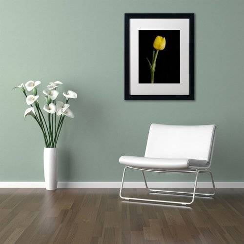 Trademark Fine Art 'Yellow Tulip Black Background 5' Canvas Art by PIPA Fine Art, White Matte, Black Frame