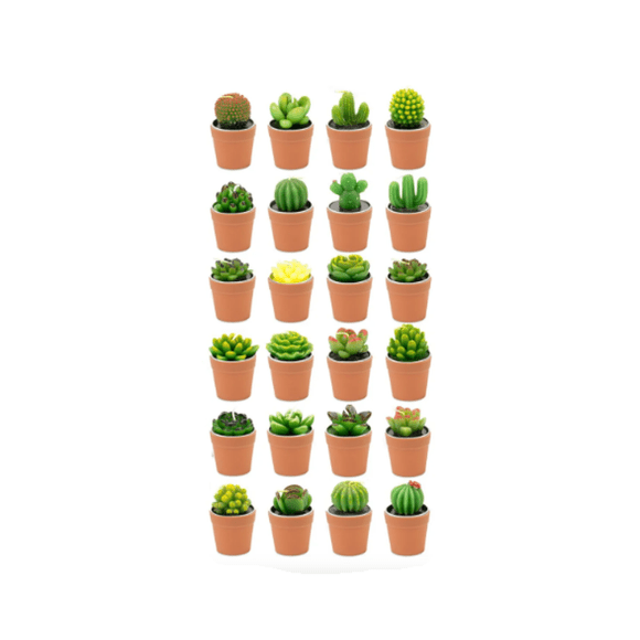 24pcs Velas Aromaticas Cactus Verdes Decorativas Con Maceta Malubero Café