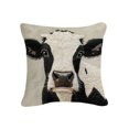 thumbnail image 1 of Tirar Almohada Cubiertas Almohada de Peluche 18 Pulgadas Lindo Bordado Almohada Decorativa Tirar para Sofá Dormitorio Sala de Estar Decoración Del Hogar Sofás para Sala de Estar, 1 of 6
