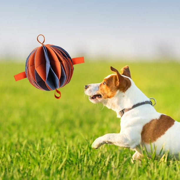 Jouet Chien Elton Interactif Distributeur Automatique De Friandises+balles De Tennis 33x24x29cm - Jouets à Lancer Chien - Jouets Flamingo