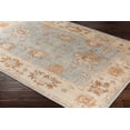 thumbnail image 5 of Surya Amelie AML-2302 Indoor Area Rug, 5 of 7