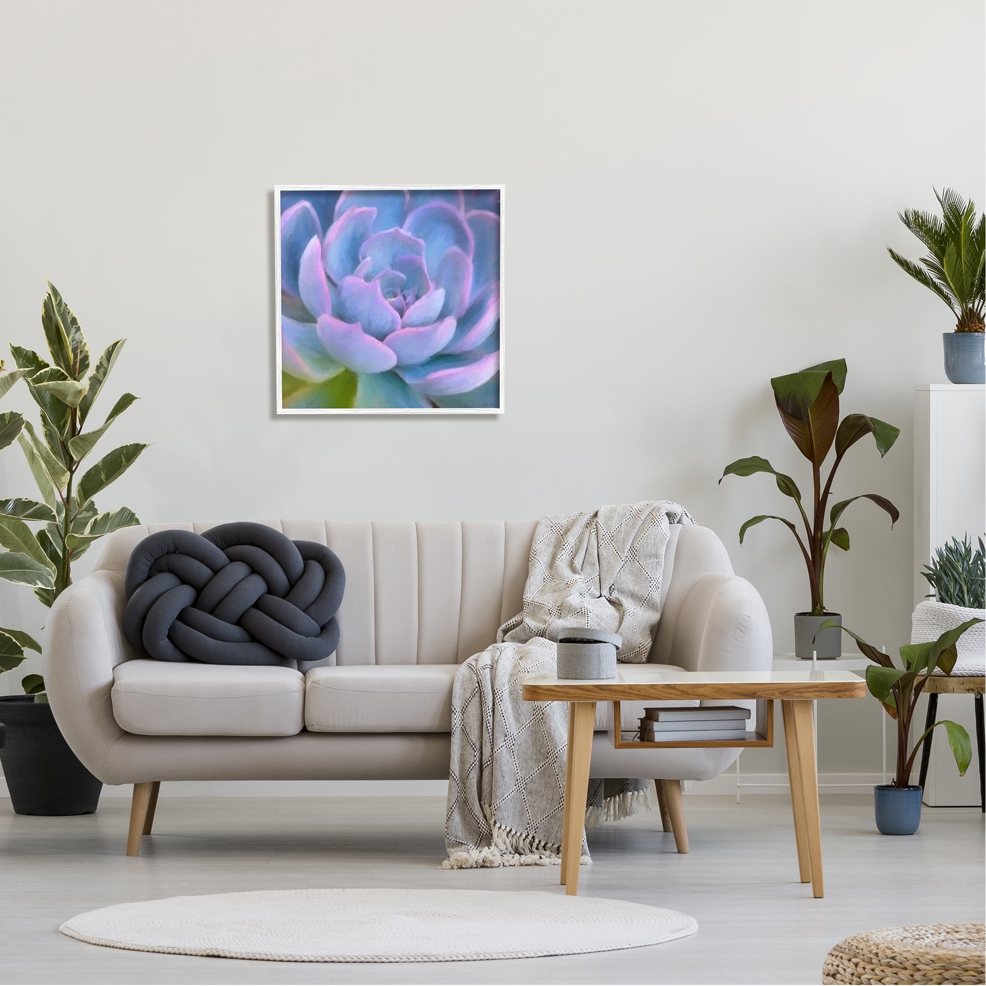 Stupell Industries Purple Modern Succulent Botanical & Floral Painting White Framed Art Print Wall Art, 24 x 24