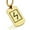 Gold, variant on Stainless Steel Elder Futhark Sowulo Rune Dog Tag Pendant Necklace