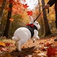 thumbnail image 6 of Rabbit Harness, Adjustable Breathable Rabbit Leash Set, Vests Style Traction Rope with Soft Padding for Small Pets, Black, 6 of 6