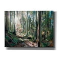 thumbnail image 1 of Epic Graffiti 'Forest Light' by Joanne Hastie, Canvas Wall Art, 54"x40", 1 of 8