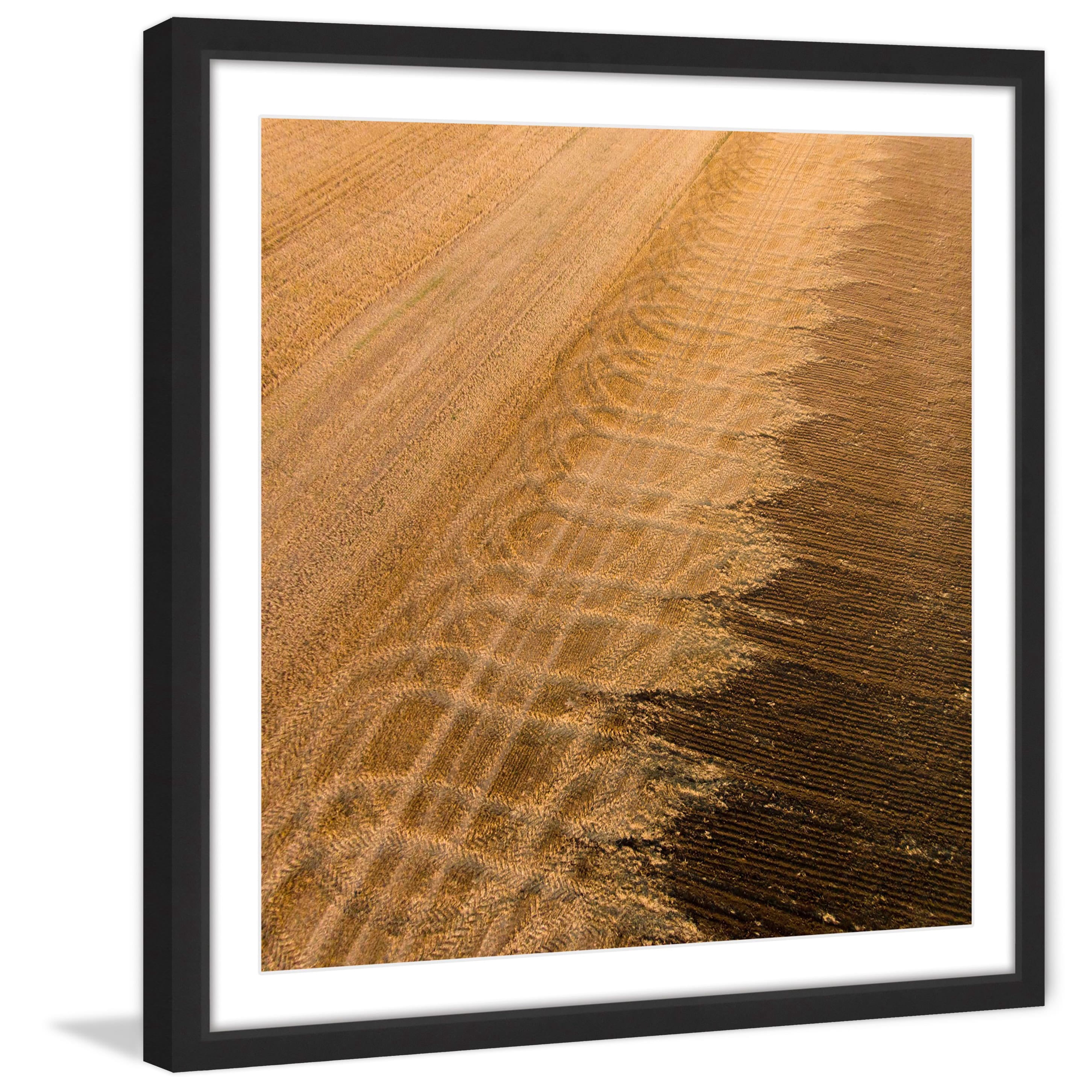 marmont hill 'wheat field' framed print