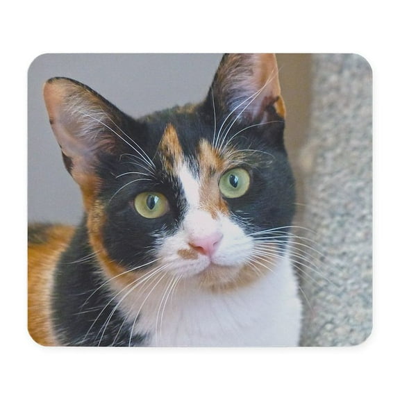 CafePress - Bandit Mousepad - Non-slip Rubber Mousepad, Gaming Mouse Pad