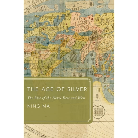 Global Asias Age of Silver: The Rise of the Novel East and West, (Hardcover)