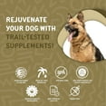 thumbnail image 6 of waggedy Daily Essentials Adult Chews, Dog Multivitamin & Immune System Support (2 Packs, 60 Chews Each), 6 of 7