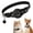 Black, variant on MJSHUN Airtag Cat Collar Breakaway, Reflective Kitten Collar with Apple Air Tag Holder and1 Bell for Girl Boy Cats, High Visibility Night Strip, Adjustable Nylon Collar and Lightweight