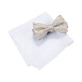 thumbnail image 1 of Countess Mara Mens Lyons Floral Neck Tie Set, Beige, Talla única, 1 of 2