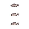 thumbnail image 2 of Minnieouse Fish Pen Bag Cosmetic Pencil Case Holder Handbag Storage Zipper Funny with Pouch Stationery for Adults Kids Present Type1 NO1 Minnieouse CBP010433, 2 of 6