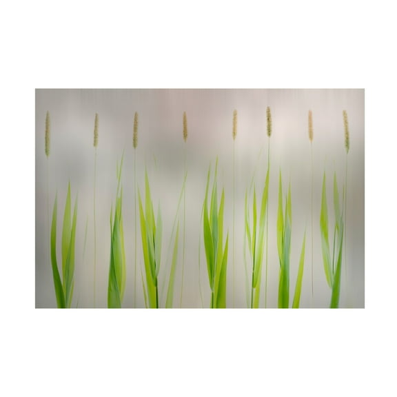 Canvas Wall Art - Greetje Van Son 'Harmony' Wall Art for Living Room, Bedroom, or Office Décor by Trademark Fine Art - 19 x 12 Inches