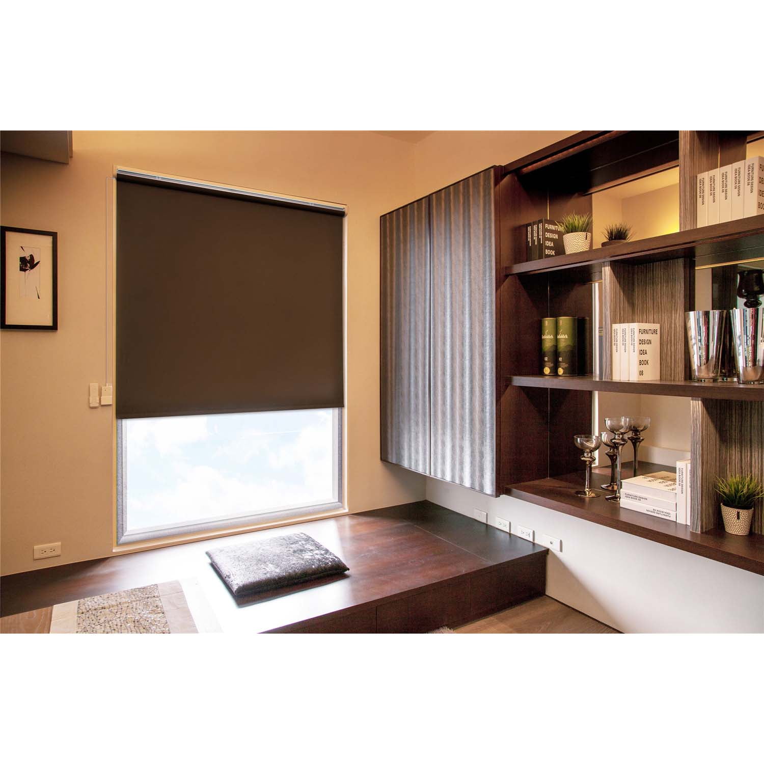 Cordless Roller Window Shades, MotorizedRemote, Roller Blinds