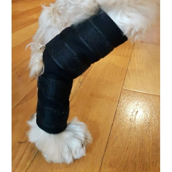 Soutien thérapeutique de jarret de sapin Vet Therapy pour chiens de taille moyenne