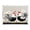 Black and White Chick, variant on Acrylic Tray Clear Serving Tray Rectangle Decorative Tray with Cut Handle Leopard and Flying Feathers