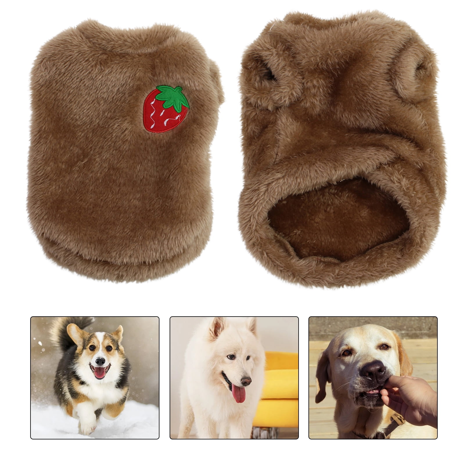 Can Dogs Sleep In Sweaters