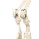 thumbnail image 2 of Bolso bandolera para mujer Bolso bandolera de nailon de gran capacidad (Blanco), 2 of 8