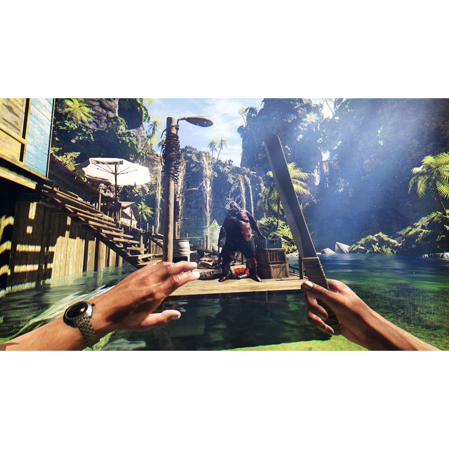  Dead Island Definitive Collection - Xbox One : Square Enix LLC:  Everything Else