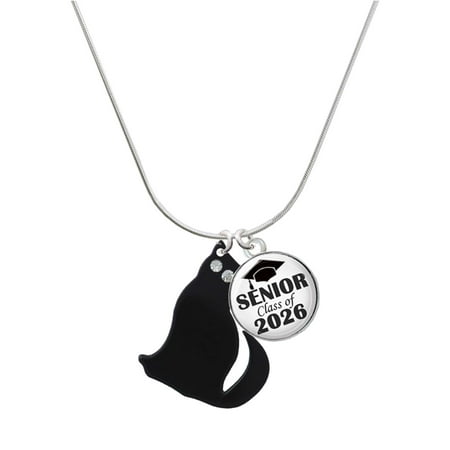 Delight Jewelry Acrylic Sitting Black Cat with Crystal Eyes – Silvertone Senior Class of 2026 Dome Necklace 18