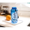 thumbnail image 4 of Botella de agua Silver Buffalo Avatar Appa de 1 litro sin BPA, 4 of 7