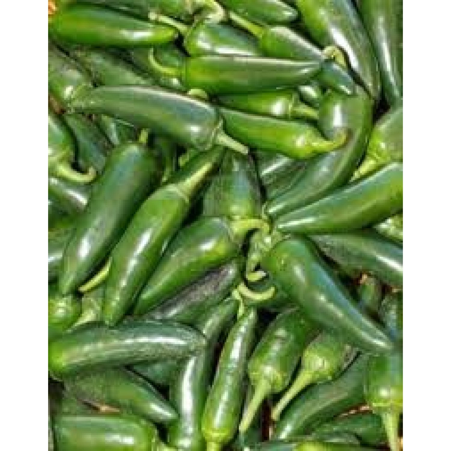Whole Jalapenos (3 Lb)