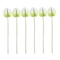 thumbnail image 4 of SEWCHICS Realistic Flowers Table Flowers Artificial Anthurium Flowers White Plastic 6Pcs, 4 of 8