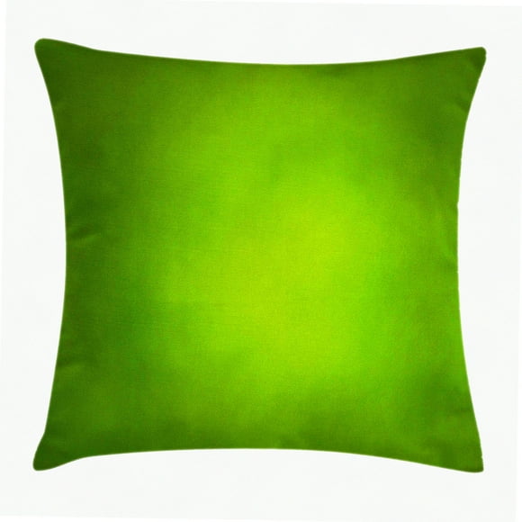 EcoGrowth Woodland Sage Green Pillow Cover - Soft Smooth Decorative Accent Case for 16" X 16" Cushion - Abstract Lime Green Background Blurred Color