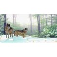 thumbnail image 1 of Loups Offset dans la Plaque d'Immatriculation de la Neige, 1 of 2