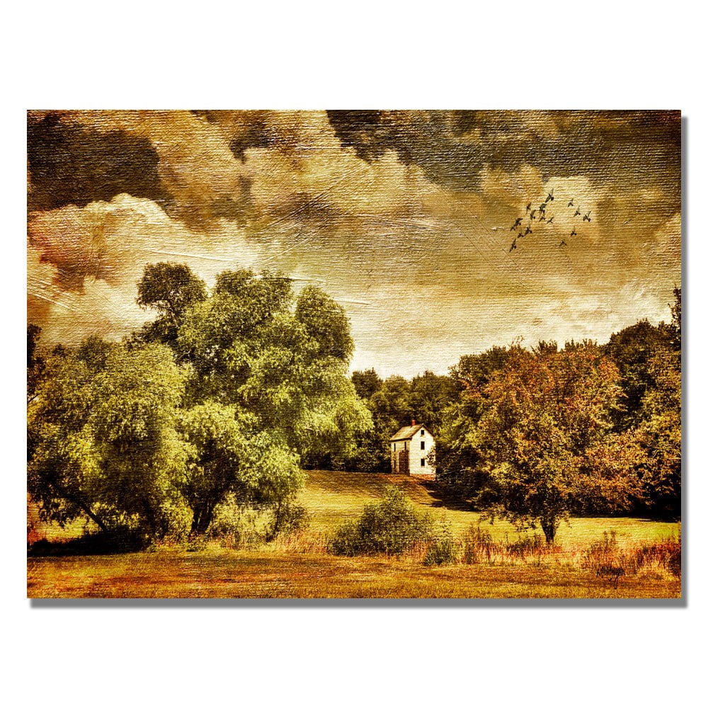 Trademark Fine Art "Old Farm House" Canvas Wall Art by Lois Bryan
