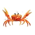 thumbnail image 3 of Vess, June Erica 24x19 Black Modern Framed Museum Art Print Titled - Crab Cameo II, 3 of 5