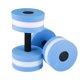 thumbnail image 1 of De Mancuernas Para Aeróbic Acuático Eva Mancuerna Acuática Aqua Fitness Piscina Ejercicio Medio 1 Par Eigraketly OD010491-01, 1 of 5