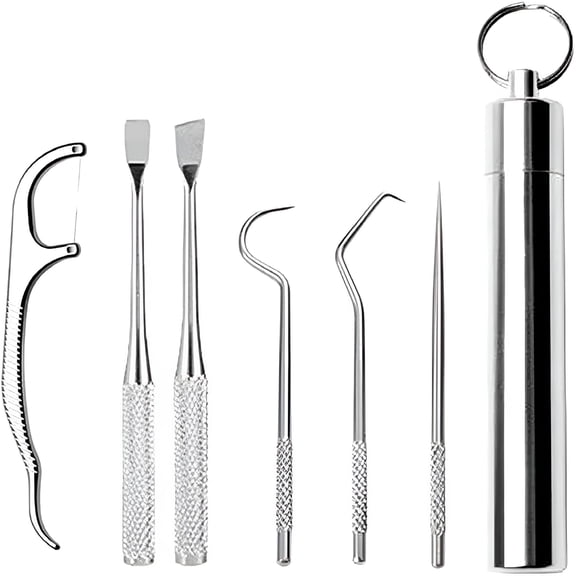 ACDANC Stainless Steel Toothpick Set 5/7/9 PCS Reusable Metal Toothpicks Cleaning Kit with Holder Stains Remover Dental Tool Teeth Cleaning Tools for Outdoor Picnic Camping Traveling (7pcs)