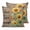 Brown Yellow, variant on Texas Star Brown Pillow Covers 20x20 Set of 2, Country Star Rustic Vintage Wooden Throw Pillow Covers Decorative Couch Cushion Cover, Microfiber Soft Square Pillowcases for Bedroom Living Room Sofa