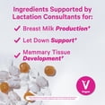 thumbnail image 3 of Suplemento Pink Stork Lactation Sweets Suministro de leche materna, 3 of 7