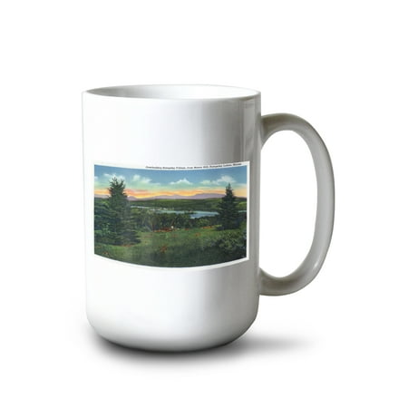 

15 fl oz Ceramic Mug Rangeley Lakes Maine Manor Hill Overlooking Rangeley Village Scene Dishwasher & Microwave Safe