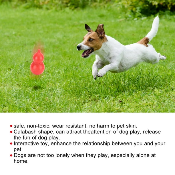 Toy for dog to play alone top