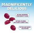 thumbnail image 5 of Magnesium Citrate Gummy - High Absorption Magnesium Gummies for Adults & Kids - Enhanced Bioavailability Form Mag Citrate Supplement - Improved Vegan Formula - Delicious Raspberry Flavor - 60 Gummies, 5 of 9