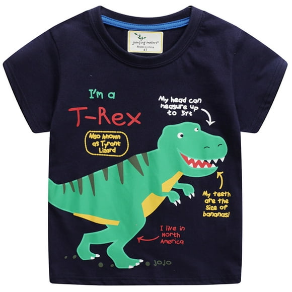 DDSOL Enfants en Bas Âge Garçons Dinosaur T-shirts d'Été 2t